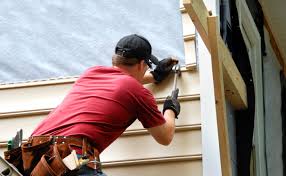 Best Fascia and Soffit Installation  in Fredericktown, MO